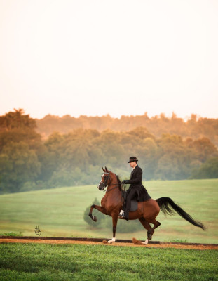 Heirs Noble Love
