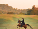 Heirs Noble Love