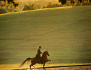 Heirs Noble Love