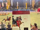 Heirs Noble Love