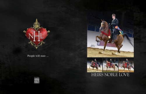 0416 kiesner hnlpg copy