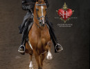 0416 kiesner hnl poster front copy