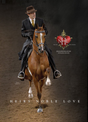 0416 kiesner hnl poster front copy