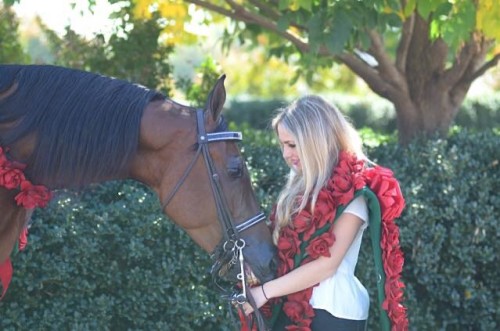2014 nicole chapparone and horse with ribbons