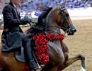 2017us rgt mercury rising roses trot