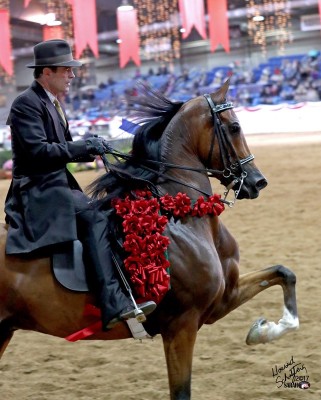 2017us rgt mercury rising roses trot