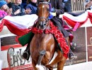 2017us rgt mercury rising roses trot2