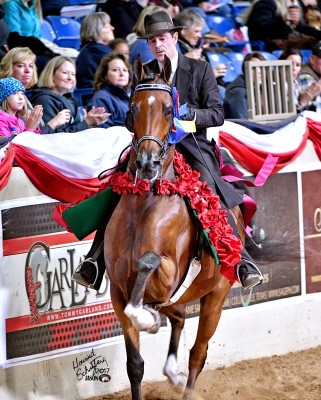 2017us rgt mercury rising roses trot2