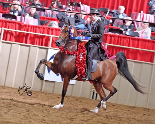 2017us rgt mercury rising victory pass