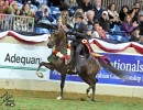 2017us sa mistafire res champ aepa futurity victory pass