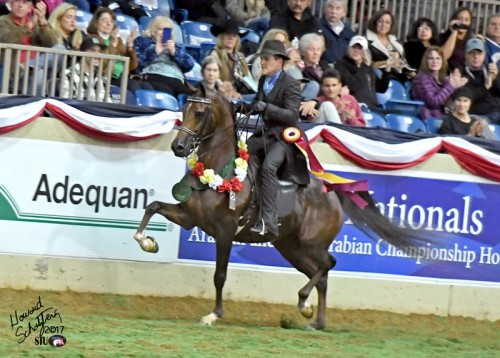2017us sa mistafire res champ aepa futurity victory pass