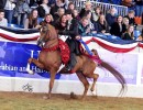 2017us tsunami us national champion photo