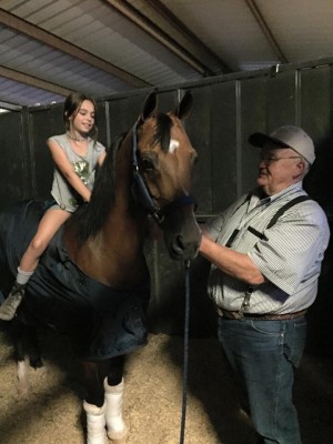 ellies new horse