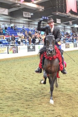 joel after winning english pleasure championship