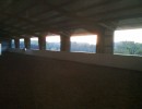 sunrise in the arena