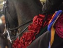 vj royal heir closeup