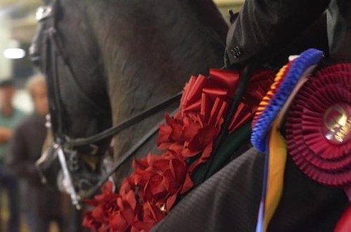vj royal heir closeup