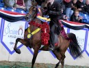 2021 us prosuaded by love futurity
